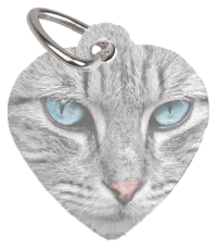 ID tag kat