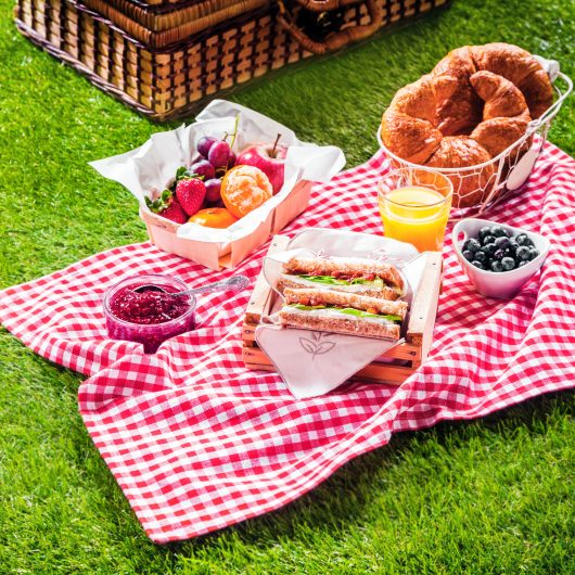 Picknickkleed